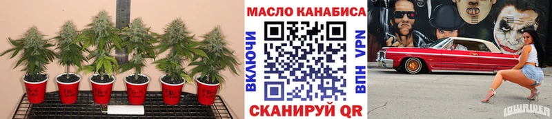 Дистиллят ТГК гашишное масло  Саяногорск 