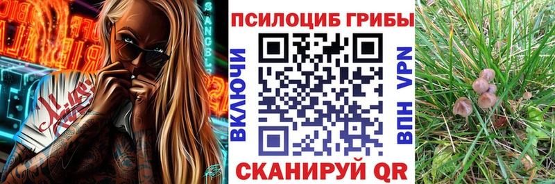 где купить   Саяногорск  Галлюциногенные грибы MAGIC MUSHROOMS 