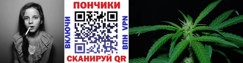 площадка формула  Саяногорск  Бошки марихуана сатива 